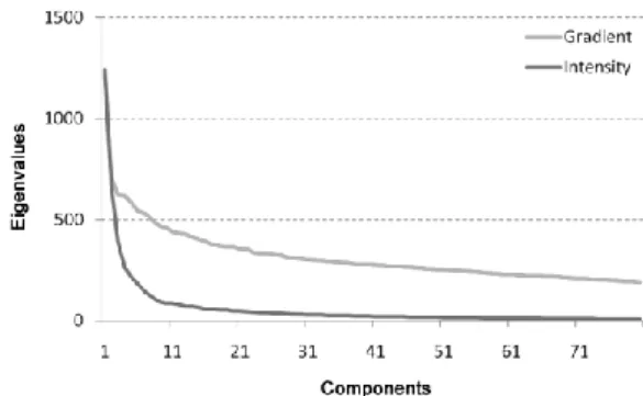 Figure 2: Intensity reconstruction from gradient using  constant and random boundary values