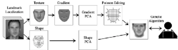 Figure 4 shows examples of  the final composites from a  participant using gradient and intensity representations