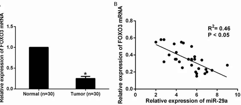 Figure 4. Inverse relationship between FOXO3 and miR-29a expression in cervical cancer