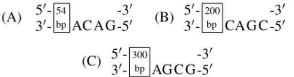 Figure 7: Selected transition molecules used in the transi- transi-tion functransi-tion: (A) T 1 : (s 0 , c) → s 1 , (B) T 2 : (s 1 , b) → s 1 , (C) T 3 : (s 2 , a) → s 0 