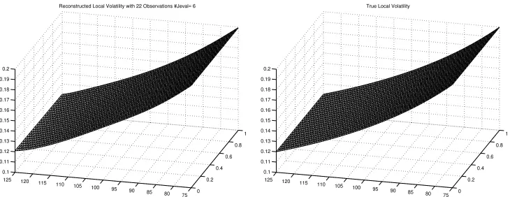 FIG. 2. The Reconstructed and True Local Volatility