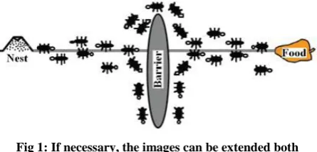 Fig 1: If necessary, the images can be extended both   columns 