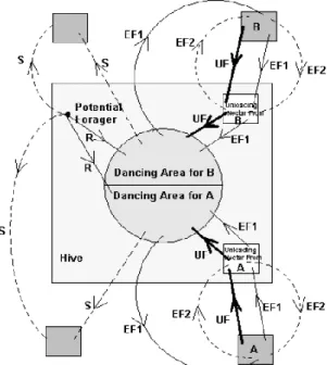 Figure 1: The honeybee nectar foraging behavior [12]. 