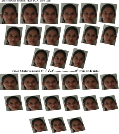 Fig. 2: Clockwise rotated by 10, 20, 30……………………150 (from left to right) 