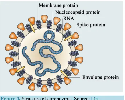 Figure 4. Structure of coronavirus. Source: [35]. 