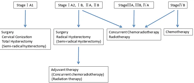 Figure 1. Clinical stage and therapy for cervical cancer. The subjects were classified by FIGO stage (2008)