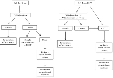 Figure 2.   Treatment strategy for cervical cancer in pregnancy (modified from Amant               et al