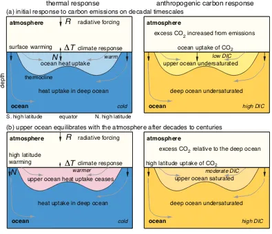 Figure 4. A schematic depiction of the ocean thermal and carbon response to anthropogenic carbon emissions (left and right panels): (a) the initial response, then after (b) the upper ocean and (c) the deep ocean approach an equilibrium with the atmosphere