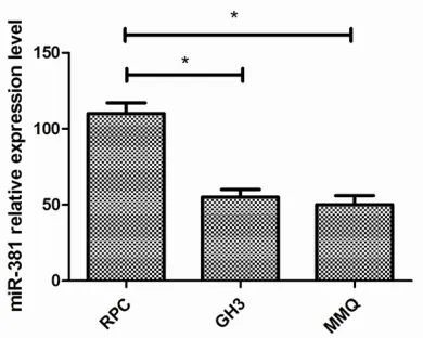 Figure 1. miR-381 expression levels are lower in pituitary adenoma cell lines (GH3 and MMQ) com-pared with the normal pituitary cell line RPC