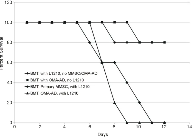 Figure 6. Effects of MMSC on survival of mice with L1210 cell leukemia undergoing BMT