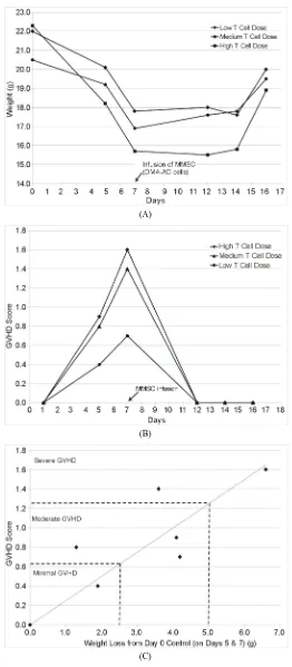 Figure 2. (A) Mouse body weight during development of GVHD and its amelioration by MMSC infusion; (B) GVHD Score in mice devel-oping GVHD and its amelioration with MMSC; (C) Correlation of GVHD score with mouse weight loss