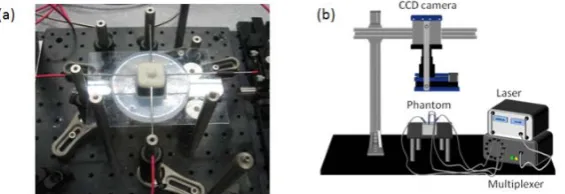 Figure 1. (a) A photograph of the experimental setup (b) A 3-D schematic drawing of experimental setup for phantom study