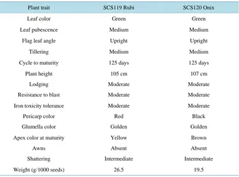 Table 2. Centesimal composition of Rice varieties SCS119 Rubi, SCS120 Onix and White Rice Epagri 109 on its whole form (without polishing)