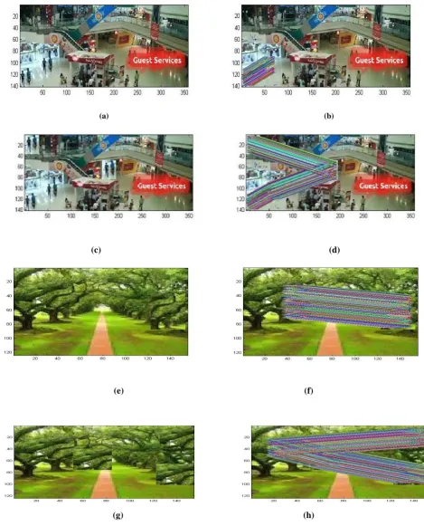 Figure 5: (a) Forged Image of Mall of Mysore. (b) Forgery Detection for the Single Copy Move by Proposed Algorithm.(c) Forged Image of Mall of Mysore