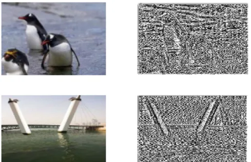 Figure 6: LPQ descriptor of sample images. 