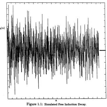 Figure n1.1: Simulated Free Induction Decay.