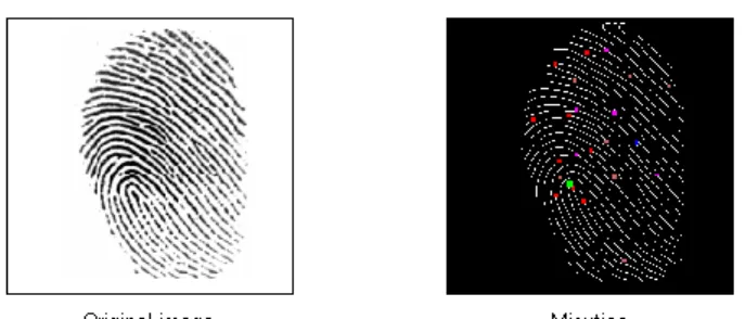 Figure  2:  System  level  design  for  fingerprint  cancelable  template generation. 