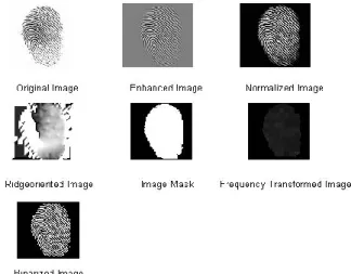 Figure  6:  Mixing  encapsulation  of  original  minutiae  and  chaff points representation