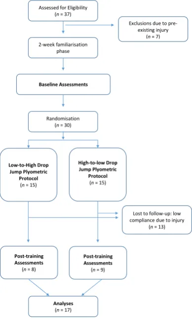 Figure 1. Study design and sample size at various stages of the study. 