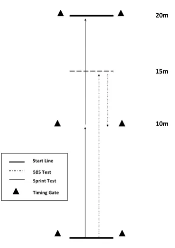 Figure 2. Structure and dimensions of the sprint and change of direction (COD) tests.