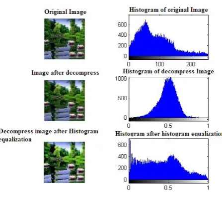 Fig. 1.EZW Image Compression with Historogram Equalization