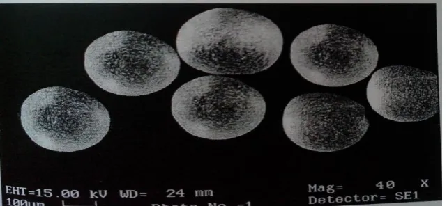 FIG.3.8 SEM PHOTO GRAPH FOR FORMULATION F7 