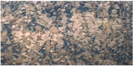 Figure 8. Photomacrograph of offset prints on paper coated with clay coating mixture containing MA/AA 90:10 binder