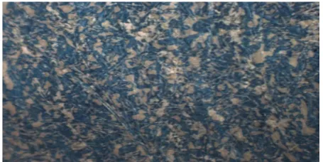 Figure 14. Photomacrograph of offset prints on paper coated with clay coating mixture containing MA/AA 10:90 binder At Magnification ≈4×