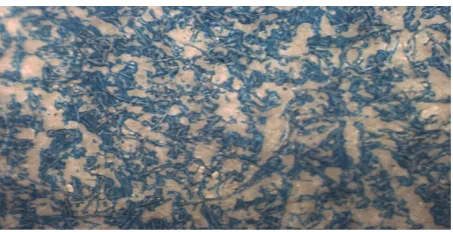 Figure 17. Photomacrograph of offset prints on paper coated with clay coating mixture containing (MA/AA + AMPS/AA) blend binder