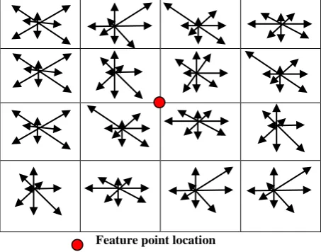 Figure 3: High pass decomposition filter used in biorthogonal spline wavelet decomposition at 4,4 level 