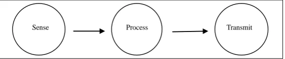 Figure 1.  Activities of the sensor nodes.                                   
