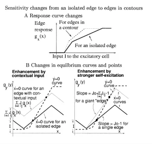 Figure 6: Response changes from an isolated edge to edges in contours. AllJij − 1 in a giant “edge.” The ˙going from an isolated edge (thick, solid curves) to edges in a contour (thin, solidfrom neighboring edge segments to a single edge (left ﬁgure) or an