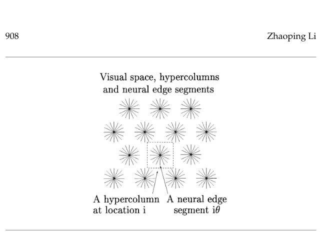 Figure 1: Model visual space, hypercolumns, and edge segments. The inputspace is a discrete hexagonal or Manhattan grid.