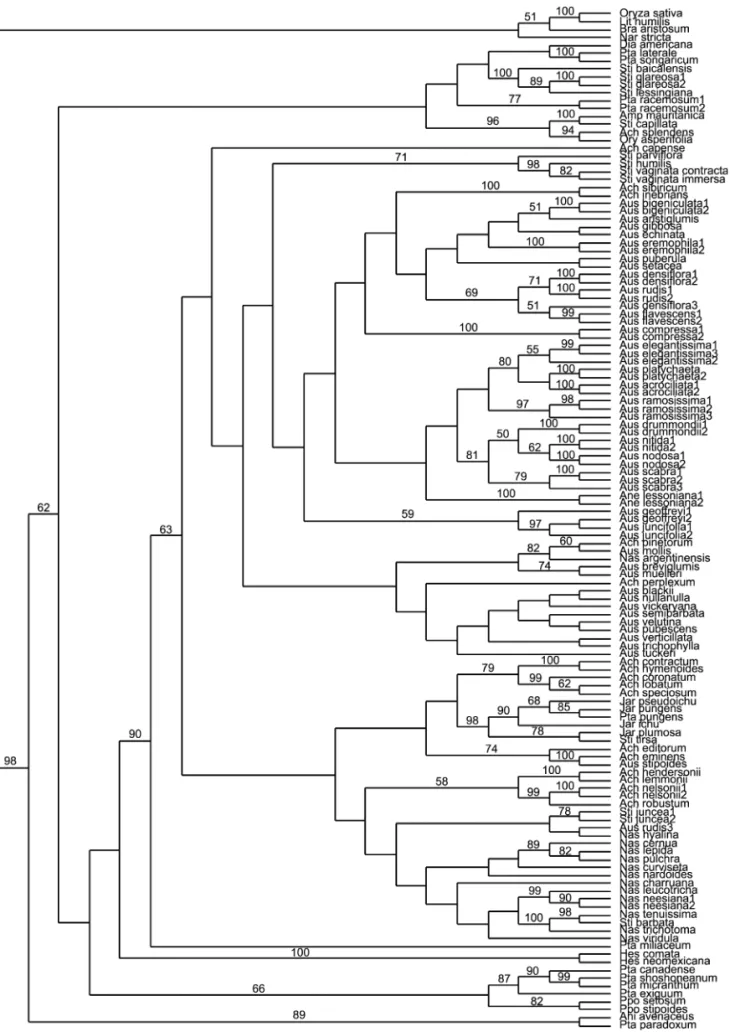 Fig. 2. Neighbor-joining tree derived from analysis of most of the samples. Jackknife values !50% are included