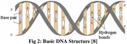 Fig 1: Cryptographic Scenario  