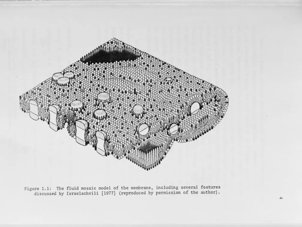 Figure 1.1: discussed 