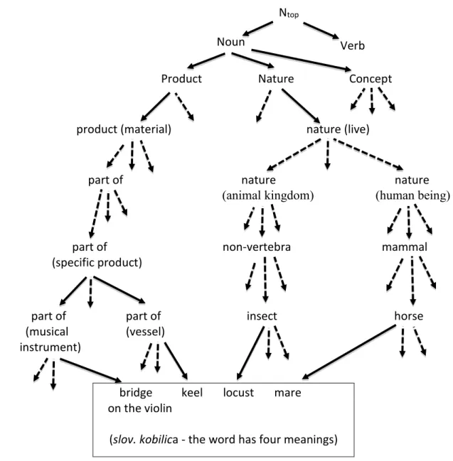 Figure  1.  A  simplified  part  of  the  discussed  network  of  words  showing  essential  features  of  a  cyclic  bi-directional  graph