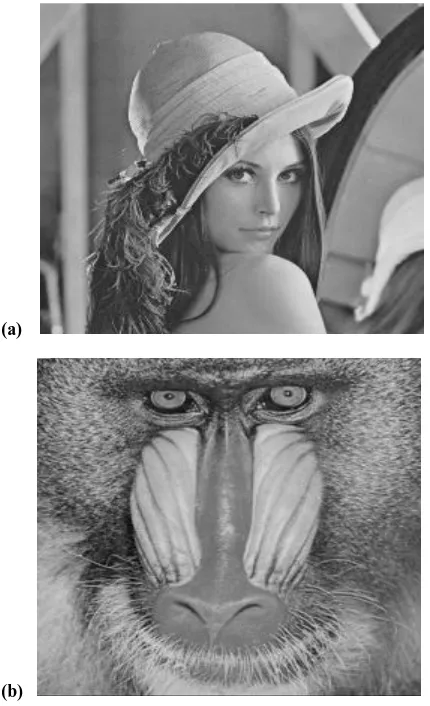 Figure 1(a-c) show original host images – Lena, Baboon and Cameraman of size 256*256.  