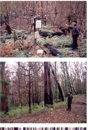Figure 3.14: Cotter River Catchment at New Chums Road showing affected area 