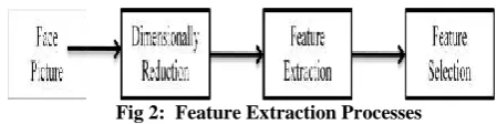 Fig 2:  Feature Extraction Processes 