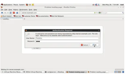 Fig 2.5.1(b) [web site with the domain name Server.example.com] 