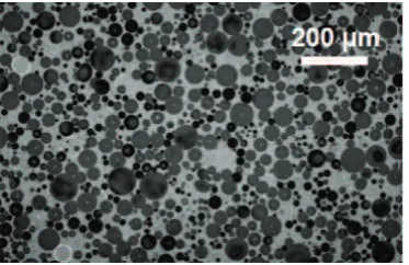 Fig. 2. Microstructure of epoxy foam obtained by optical mi-croscopy.