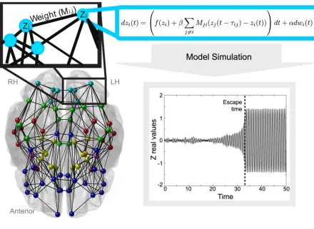 Fig 7. Connectivity, node placement and how this relates to the mathematical model. Connectivity is shown where connections exist in 60% or more ofsubjects, for visualisation only—all connections were included on a subject specific basis for simulations