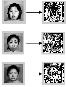 Figure 3: Feature extraction 
