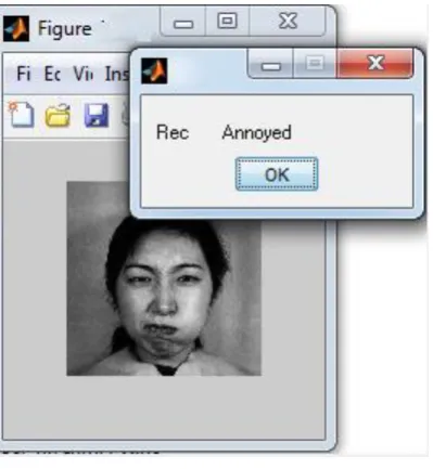 Figure 5: Annoyed expression 