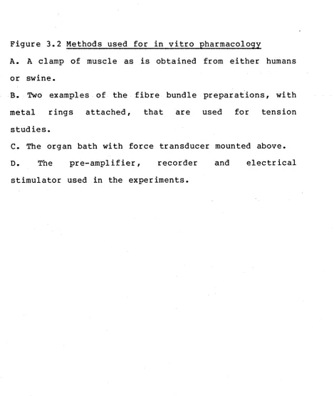 Figure 3.2 Methods used for in vitro pharmacology