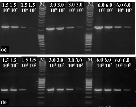 Figure 1. PCR with the primer set of 27f/1525r for the universal bacterial 16S-rDNA gene (a) and a primer set of cd3aF/R3cd for the functional denitrification specific nirS gene (b) were per- formed