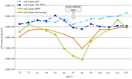 Figure 3. Annual variation of nitrite/nitrate concentration and the abundances of total cell counts and denitrifying bacteria