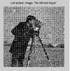 Figure 13 Extracted image in case of Marked Input 