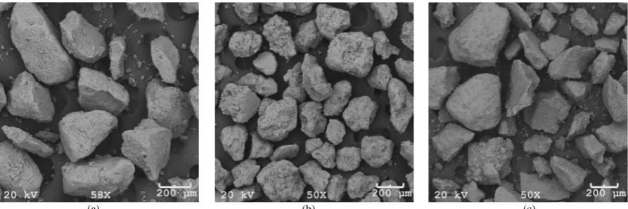 Figure 1. (a) Morphology of hydroxyapatite (HA) granular biomaterial; (b) b-TCP; (c) 60%HA/40%b-TCP biphasic granu-lar biomaterial